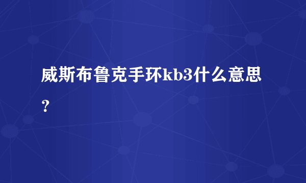 威斯布鲁克手环kb3什么意思？