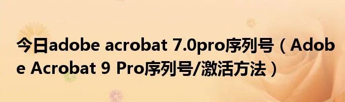 今日adobe acrobat 7.0pro序列号（Adobe Acrobat 9 Pro序列号/激活方法）