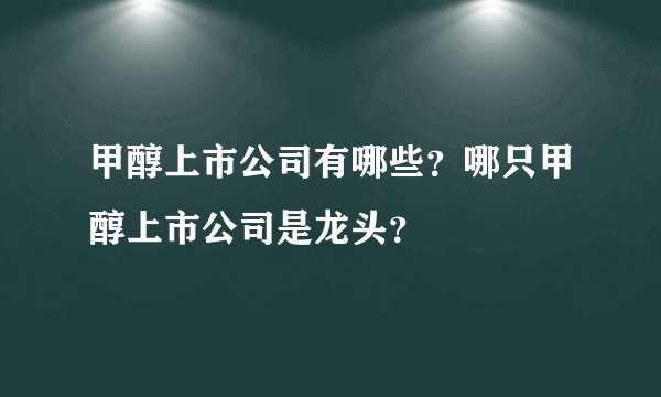 甲醇上市公司有哪些？哪只甲醇上市公司是龙头？