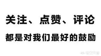 该怎么学习自媒体？
