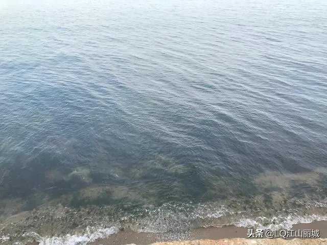 网传李小璐PGone跳同款舞，你怎么看？