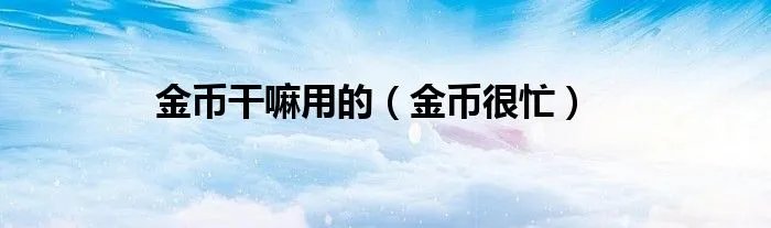 金币干嘛用的（金币很忙）