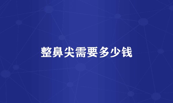 整鼻尖需要多少钱