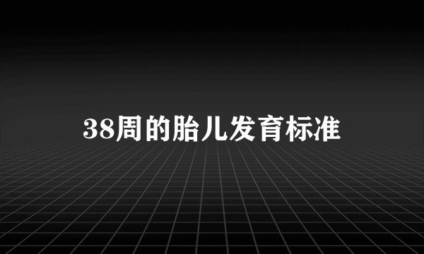 38周的胎儿发育标准