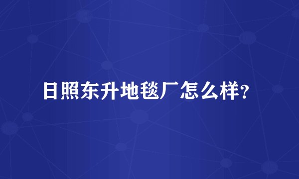 日照东升地毯厂怎么样？