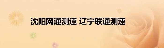 沈阳网通测速 辽宁联通测速