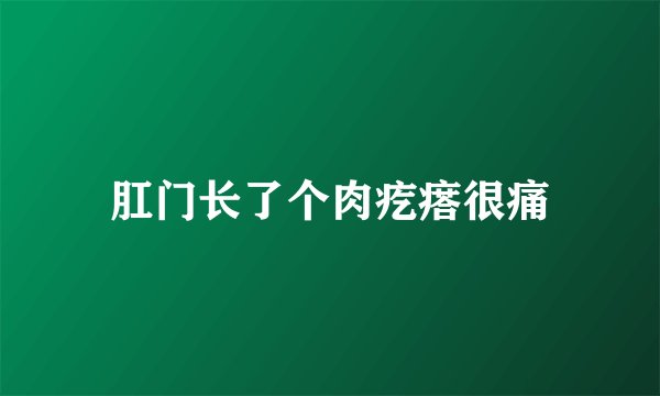 肛门长了个肉疙瘩很痛
