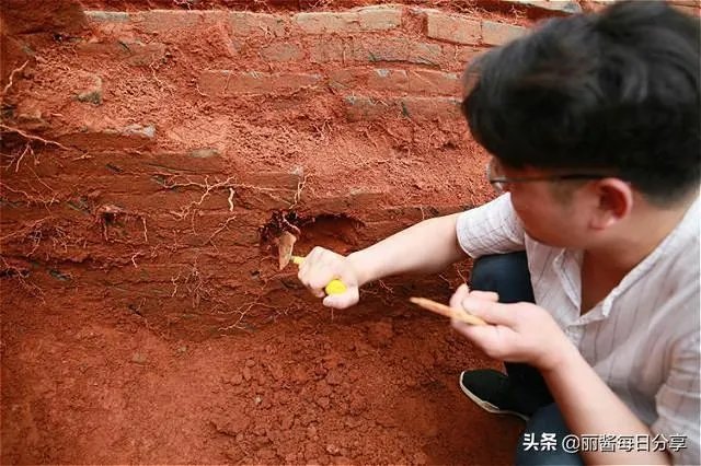 北宋古墓发现“过仙桥”,都说是震撼的爱情,怎么回事?