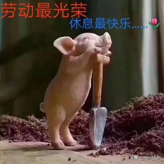 美国呼吁海外公民尽快回国，你如何看待？