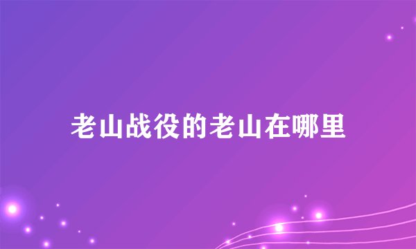 老山战役的老山在哪里