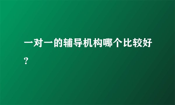 一对一的辅导机构哪个比较好?