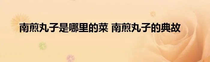 南煎丸子是哪里的菜 南煎丸子的典故