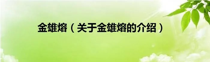金雄熔（关于金雄熔的介绍）