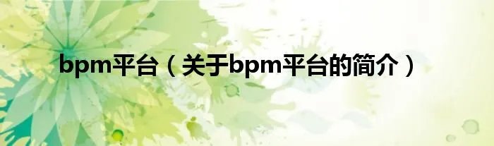bpm平台（关于bpm平台的简介）