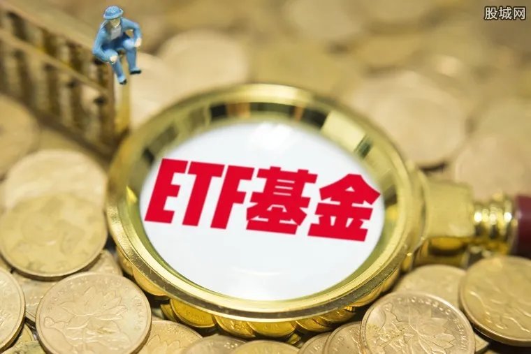 深扒e租宝张敏 e租宝高管张敏奢侈生活曝光