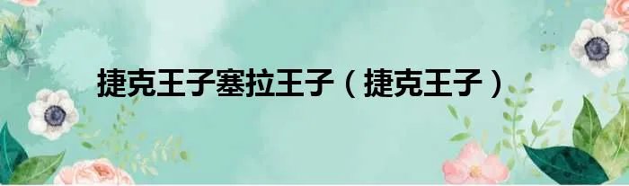 捷克王子塞拉王子（捷克王子）