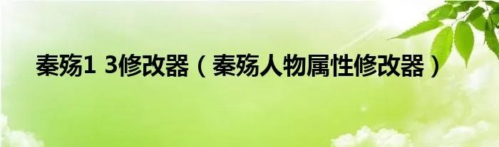 秦殇1 3修改器(秦殇人物属性修改器)