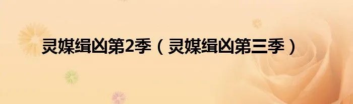 灵媒缉凶第2季（灵媒缉凶第三季）