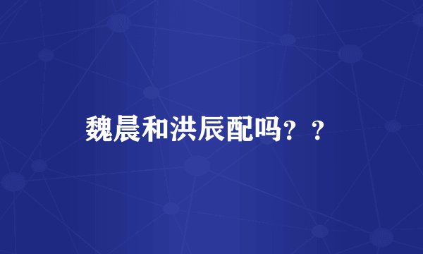 魏晨和洪辰配吗？？