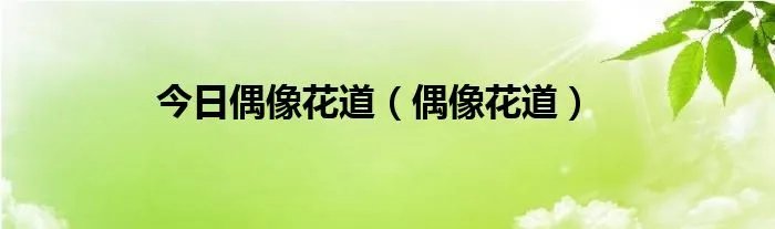 今日偶像花道（偶像花道）