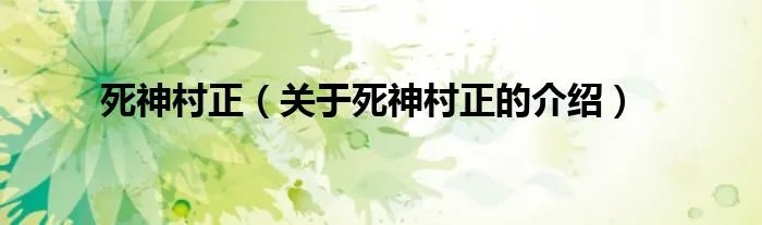死神村正（关于死神村正的介绍）