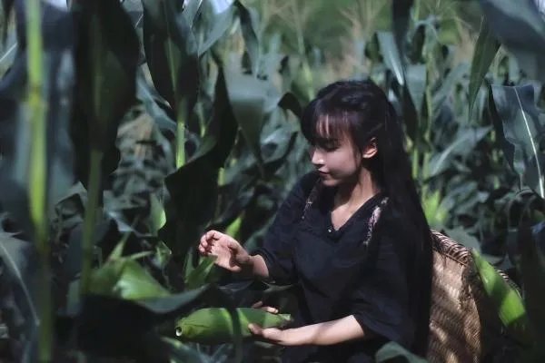 李子柒断更两个多月后发声,言语中哪些信息值得关注?
