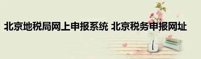 北京地税局网上申报系统 北京税务申报网址