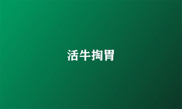 活牛掏胃