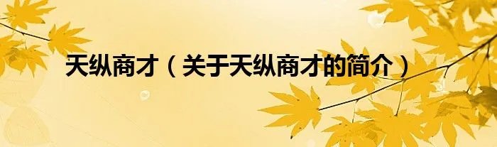 天纵商才（关于天纵商才的简介）
