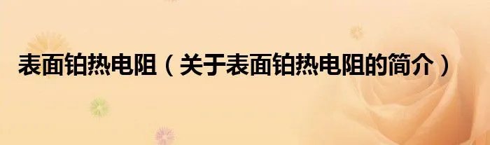 表面铂热电阻(关于表面铂热电阻的简介)