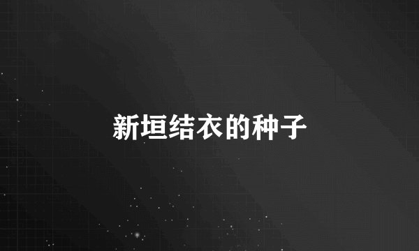 新垣结衣的种子