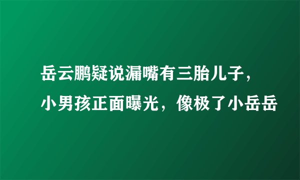 岳云鹏疑说漏嘴有三胎儿子,小男孩正面曝光,像极了小岳岳