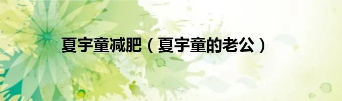 夏宇童减肥（夏宇童的老公）