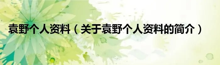 袁野个人资料（关于袁野个人资料的简介）