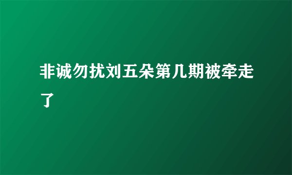 非诚勿扰刘五朵第几期被牵走了