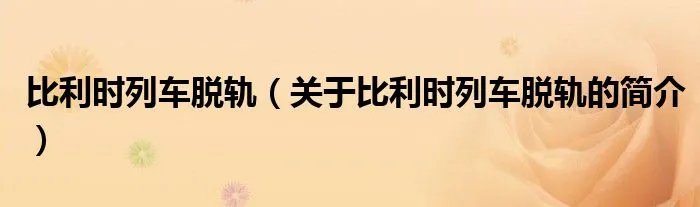 比利时列车脱轨(关于比利时列车脱轨的简介)