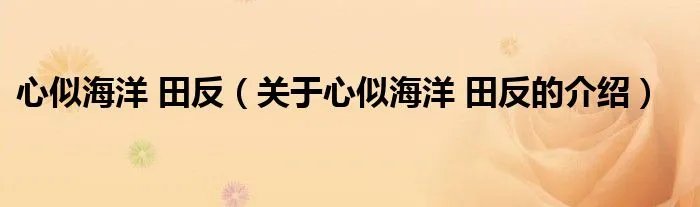心似海洋 田反（关于心似海洋 田反的介绍）