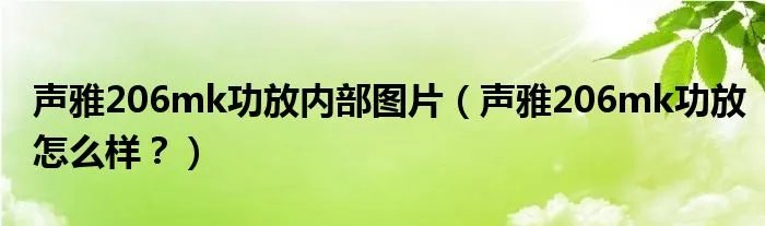 声雅206mk功放内部图片(声雅206mk功放怎么样?)