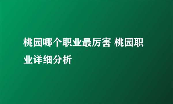 桃园哪个职业最厉害 桃园职业详细分析