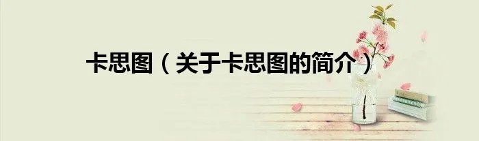 卡思图（关于卡思图的简介）