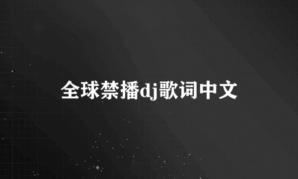 全球禁播dj歌词中文
