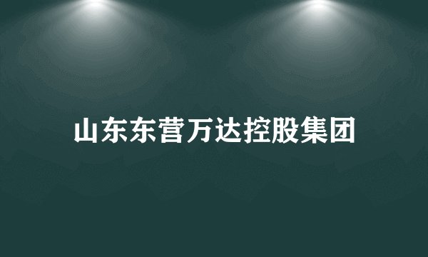 山东东营万达控股集团