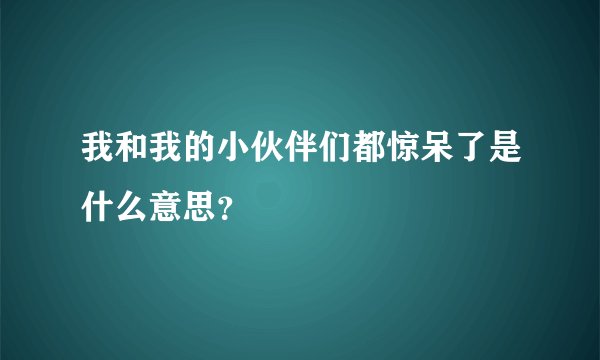 我和我的小伙伴们都惊呆了是什么意思？