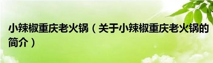 小辣椒重庆老火锅（关于小辣椒重庆老火锅的简介）