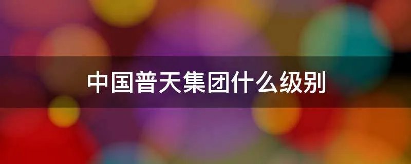 中国普天集团什么级别