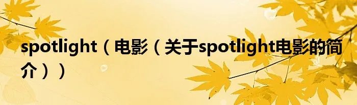 spotlight(电影(关于spotlight电影的简介))