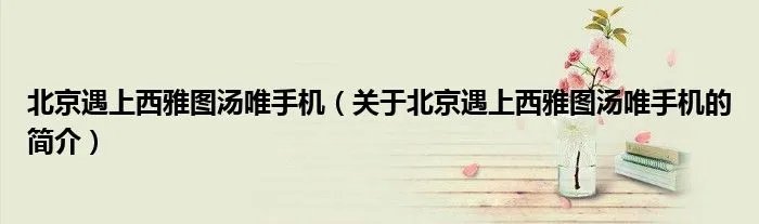 北京遇上西雅图汤唯手机(关于北京遇上西雅图汤唯手机的简介)