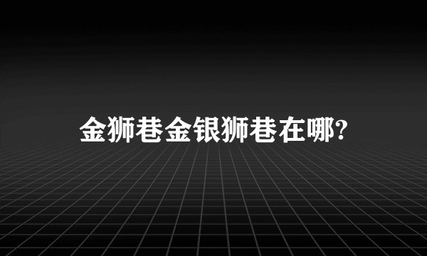 金狮巷金银狮巷在哪?