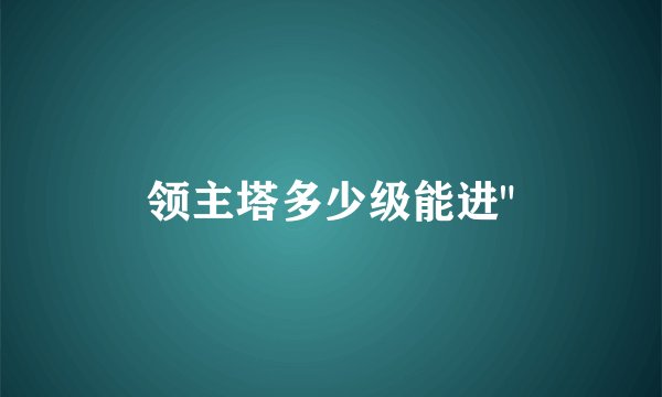 领主塔多少级能进