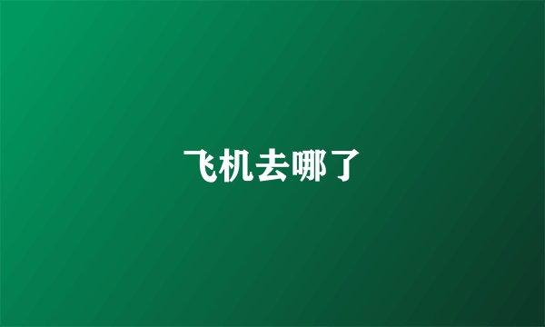 飞机去哪了